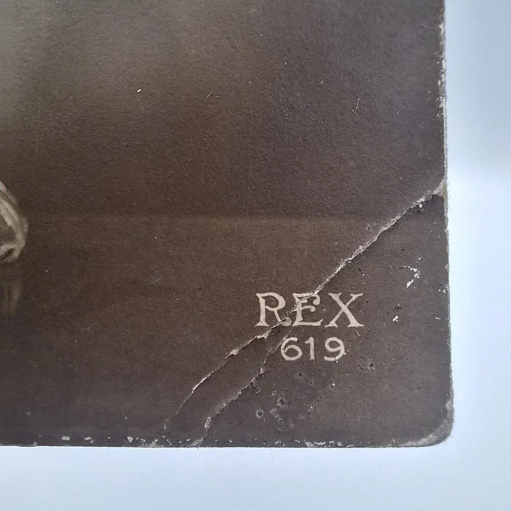 Antique‎ REX 619 Floral Postcard Sepia Botanical Art Belgium Postmark Brown Aged